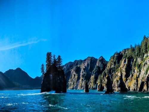 The Magic of a Day Cruise at Kenai Fjords National Park, Alaska