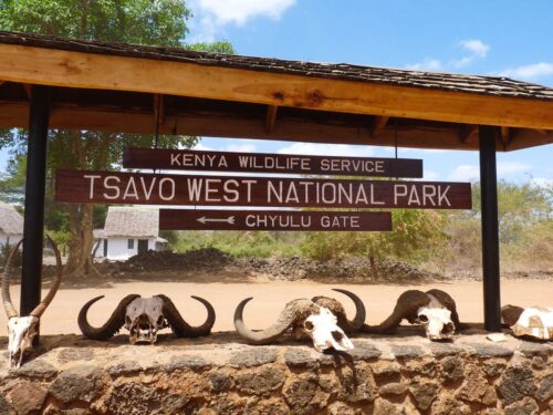 A Guide to Visiting Tsavo National Park in Kenya