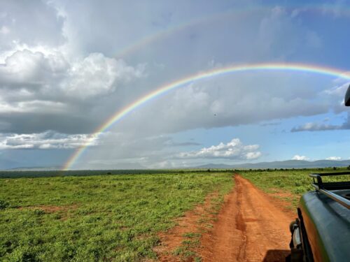 The Best Times of the Year to Go on Safari in Kenya